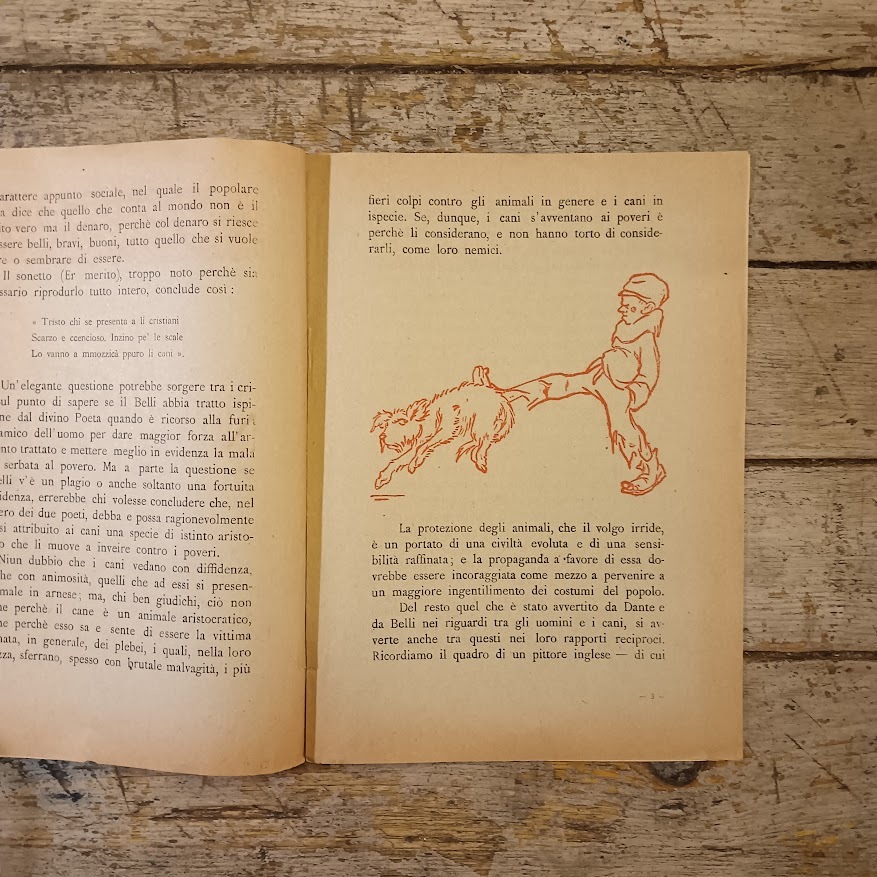 Dante, Belli, i cani e i poverelli - immagine 3