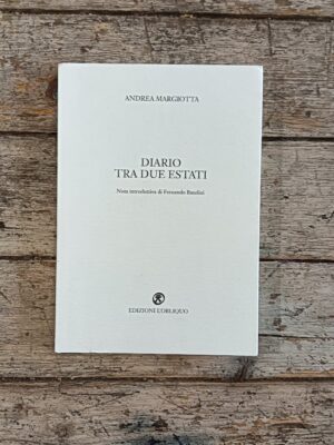 Diario tra due estati