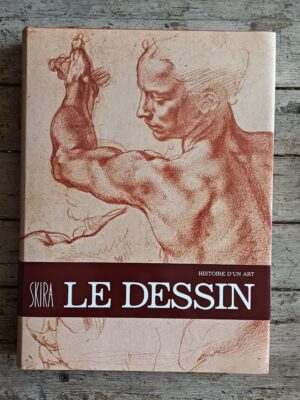 Histoire d'un art: le dessin