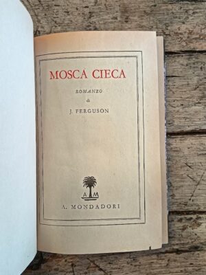 Mosca cieca