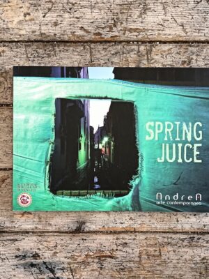 Spring Juice. Giovani artisti dell'Accademia di Venezia