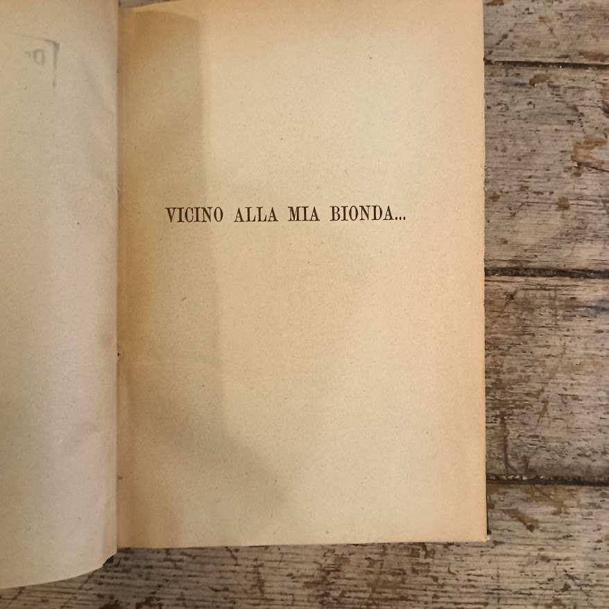 Vicino alla mia bionda... - immagine 3