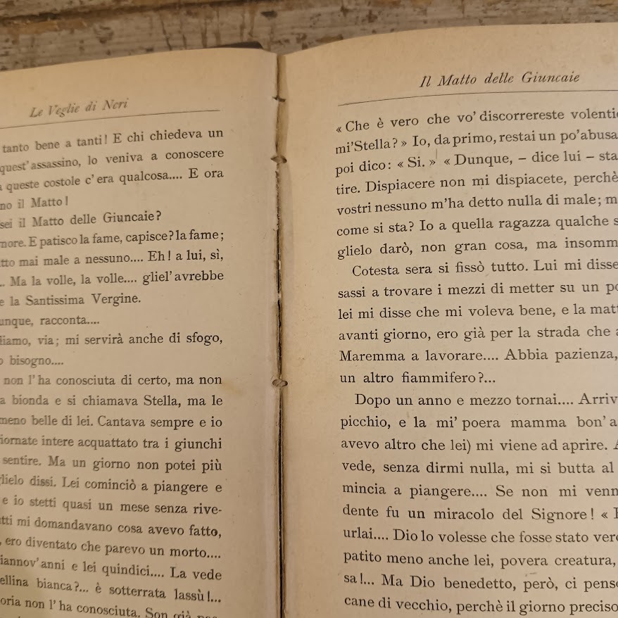 Le veglie di Neri. Paesi e figure della campagna toscana - immagine 4