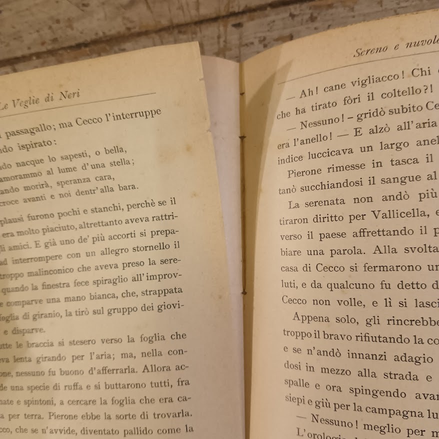 Le veglie di Neri. Paesi e figure della campagna toscana - immagine 5