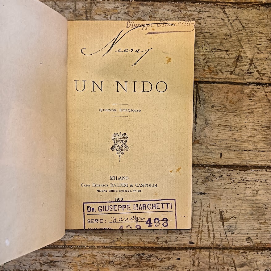 Un nido