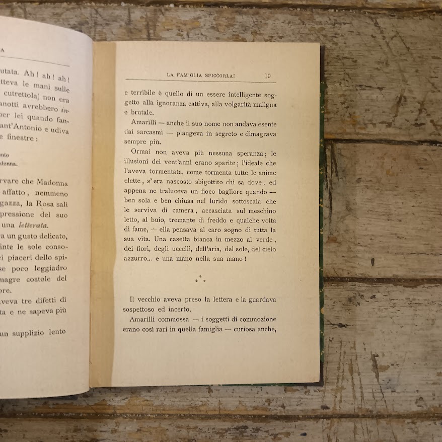 Un nido - immagine 3