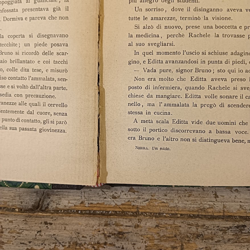 Un nido - immagine 4