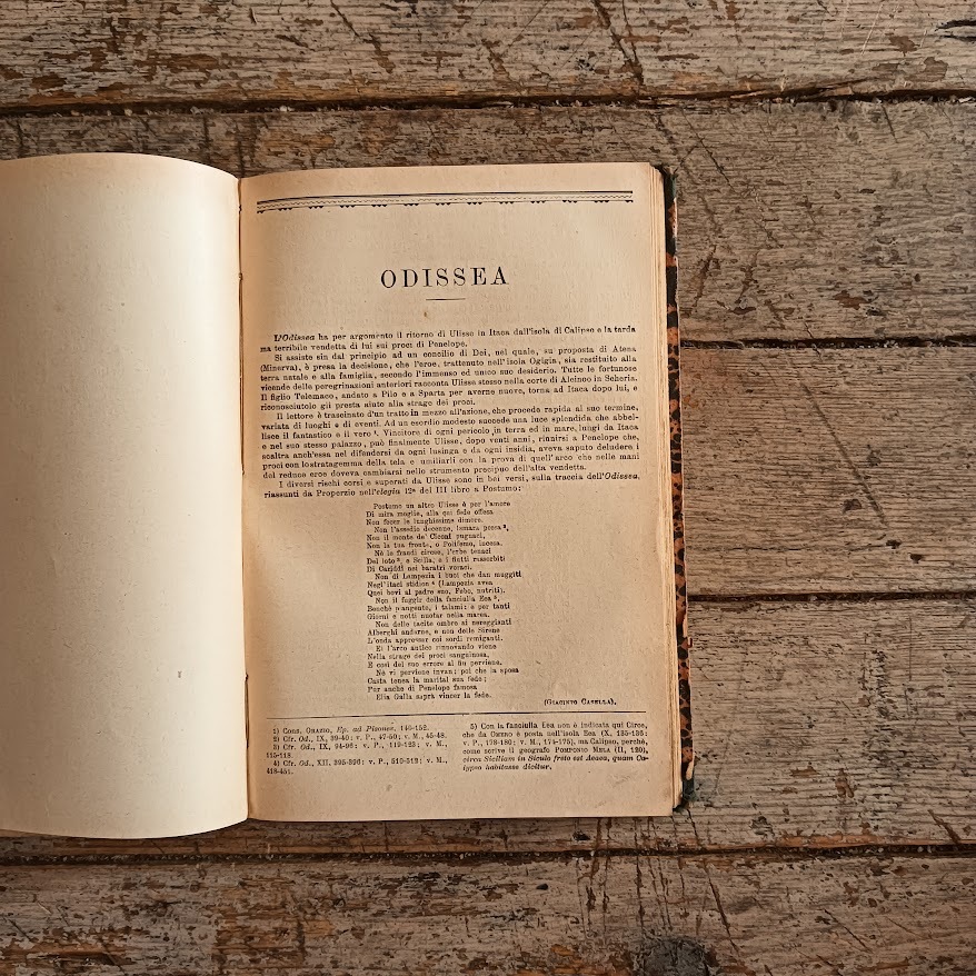 Antologia Omerica e Virgiliana - immagine 5