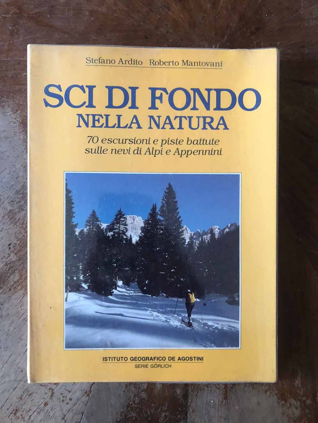 Sci di fondo nella natura - immagine 2