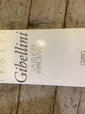 La felicità improvvisa