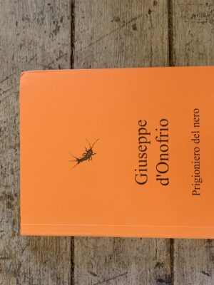 Prigioniero del nero