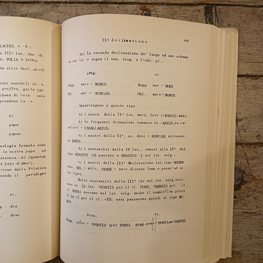 Appunti di grammatica storica del provenzale - immagine 2
