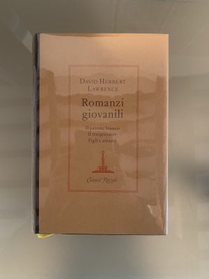 Romanzi giovanili