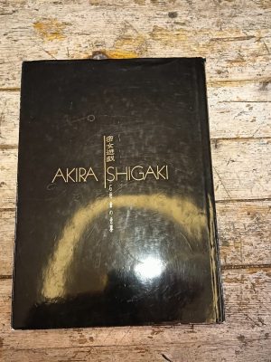Gioco segreto per ragazze. Il mondo di Akira Ishigaki