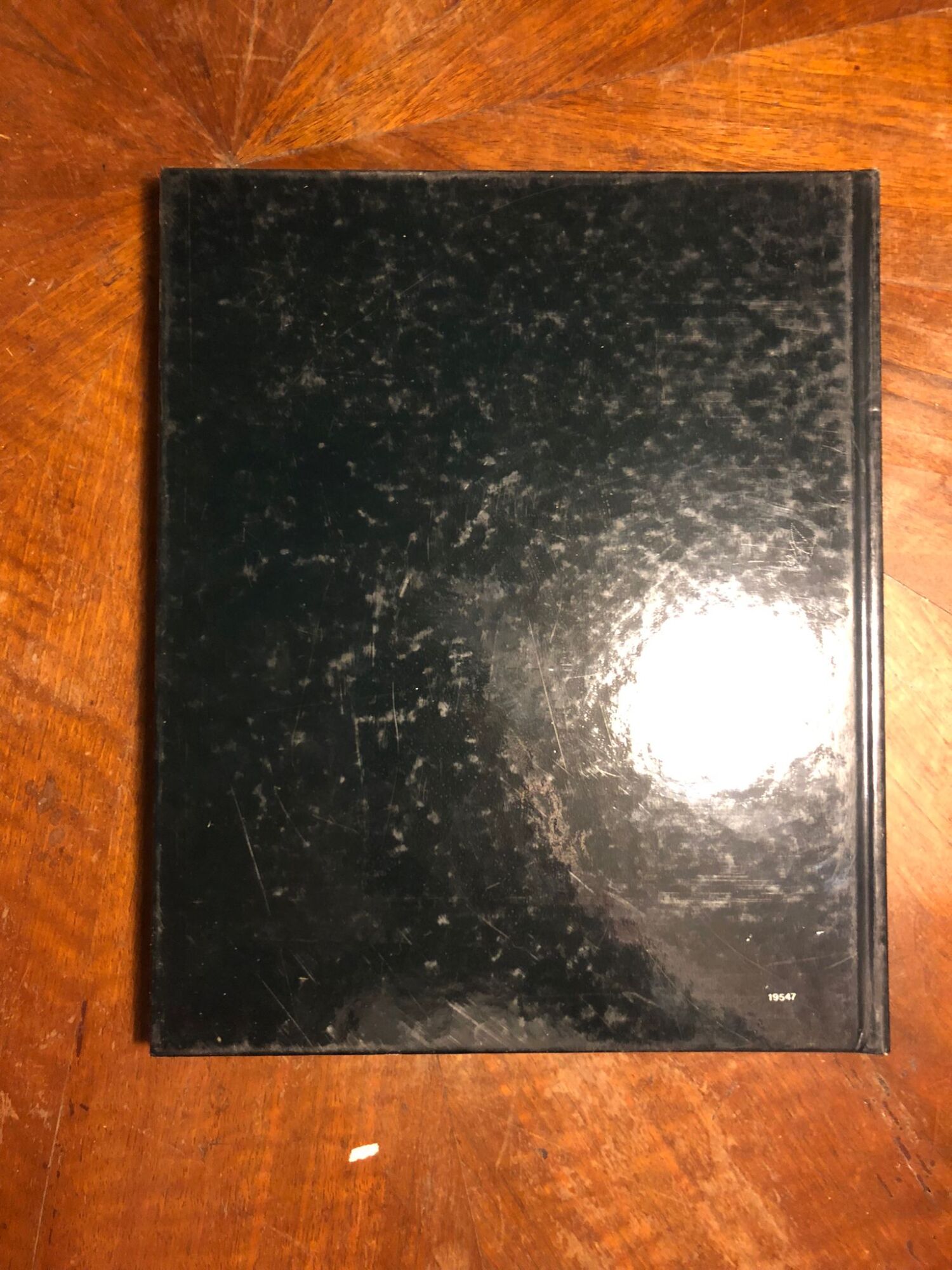 Album di famiglia della T.V. - immagine 3
