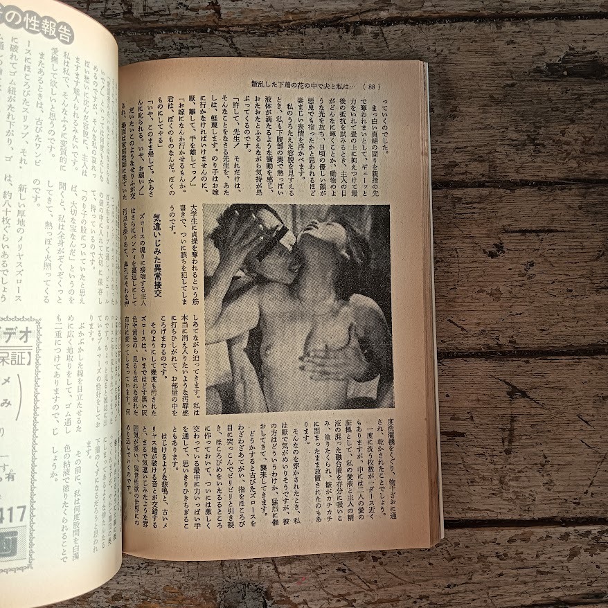 Il collettore. Extatic pleasures (giugno 1982) - immagine 4