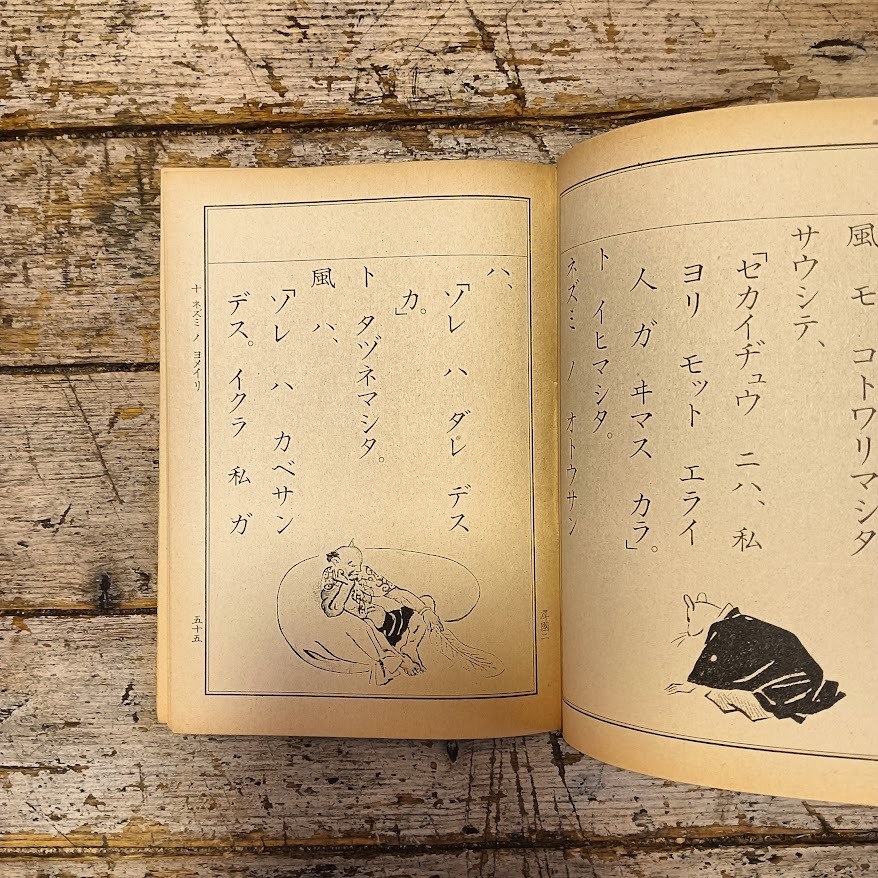 Libri di lettura in mandarino per la scuola elementare (3 voll. COMPLETO) - immagine 5