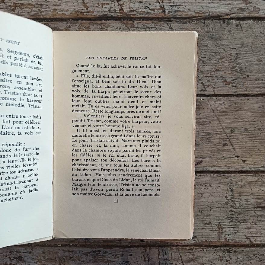 Le roman de Tristan et Iseut - immagine 4