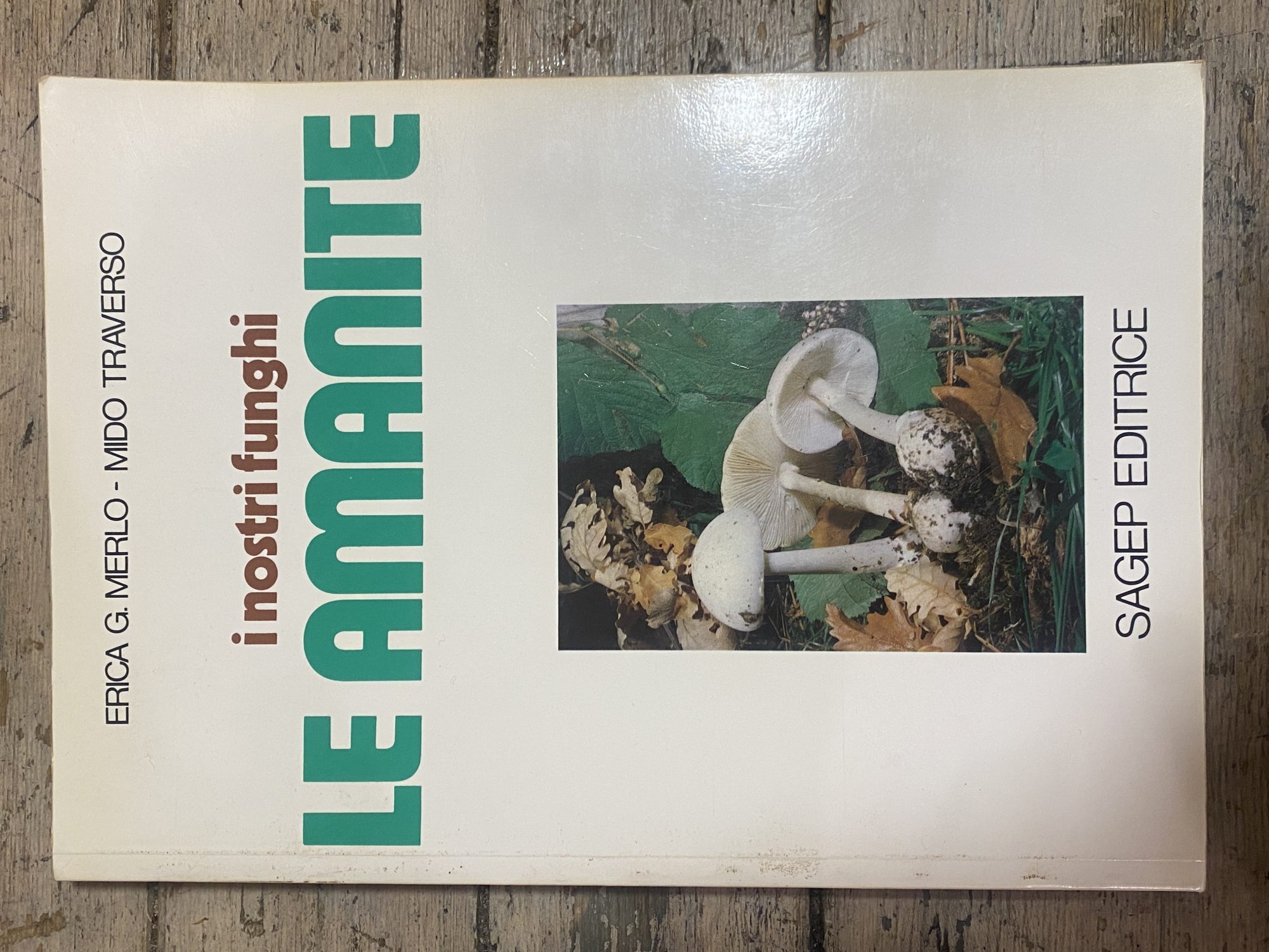 I nostri funghi, Le amanite