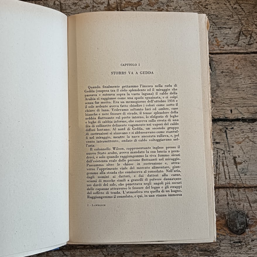 La rivolta nel deserto - immagine 2