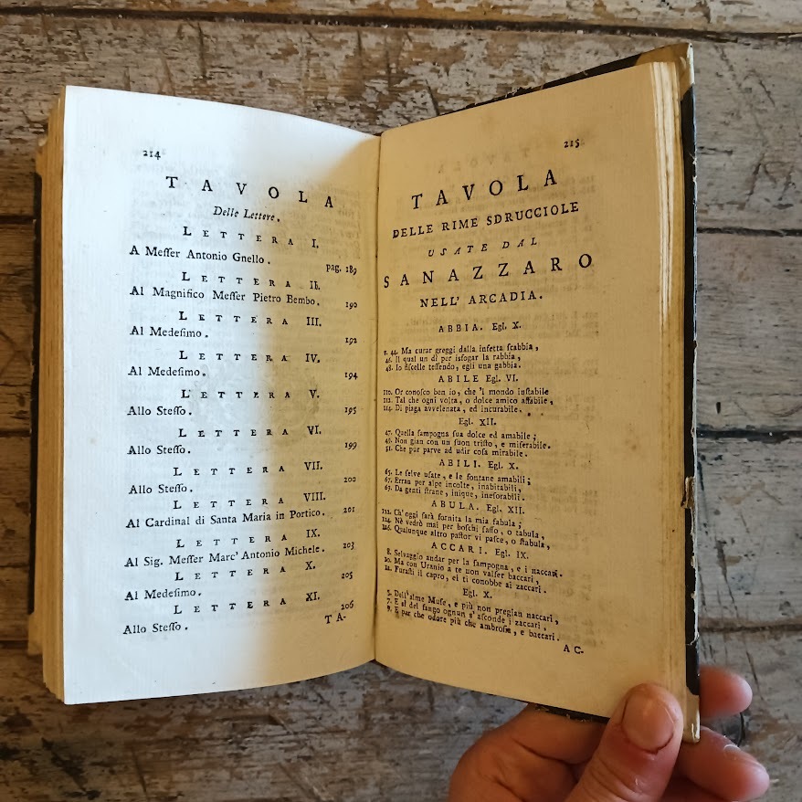 Le opere volgari di Jacopo Sanazzaro cavaliere napoletano, colla di lui vita scritta dal Crispo da Gallipoli, da Persona Anonima novellamente postillata, e con tutte le Illustrazioni, ed Accrescimenti con cui sono state fin ora impresse - immagine 6
