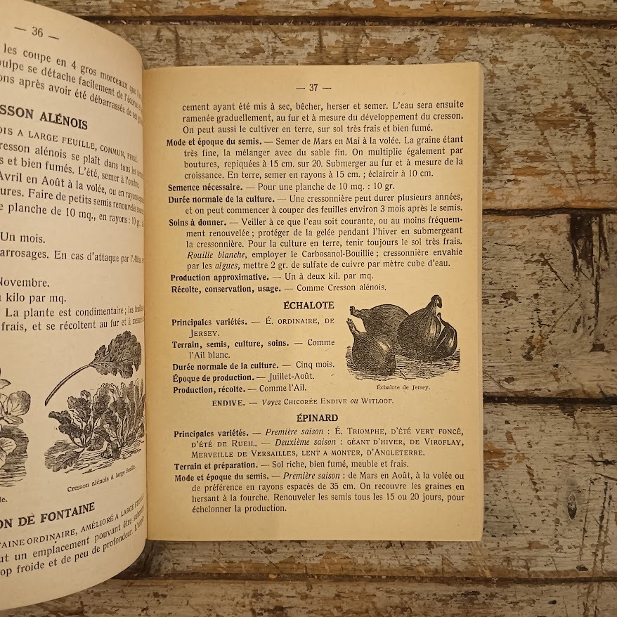 Petit guide du jardin - immagine 3