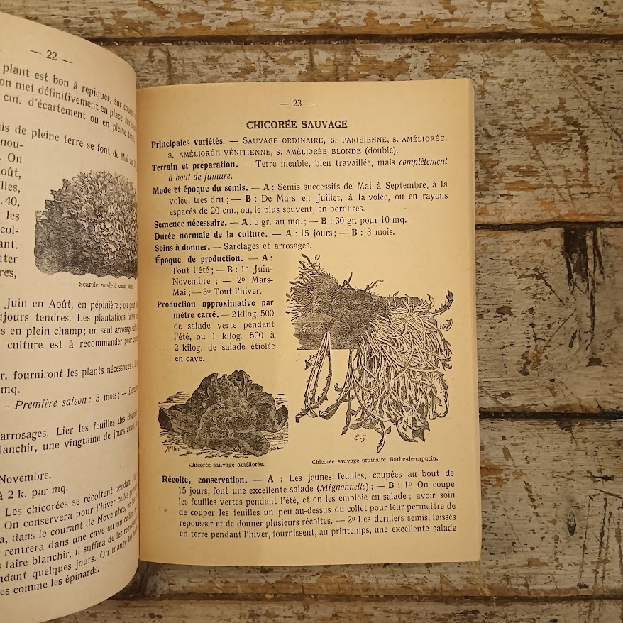 Petit guide du jardin - immagine 4