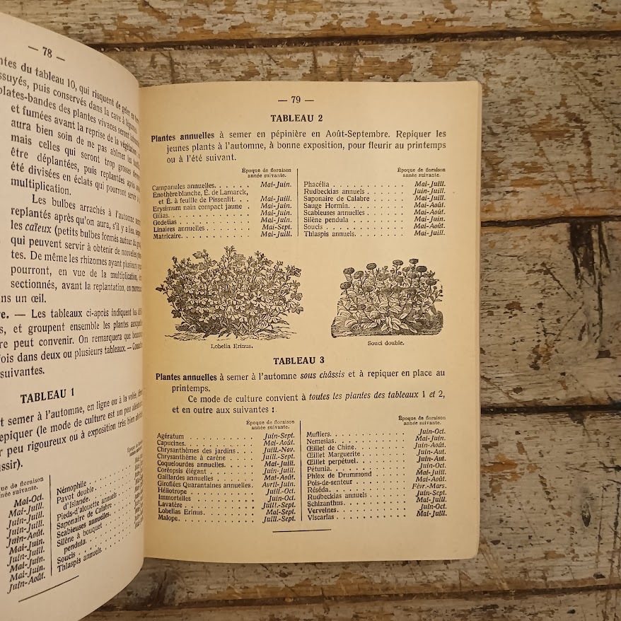 Petit guide du jardin - immagine 5