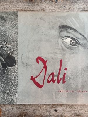 Dali: studio della vita e delle opere