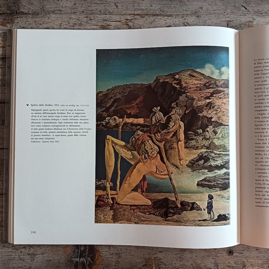 Dali: studio della vita e delle opere - immagine 3