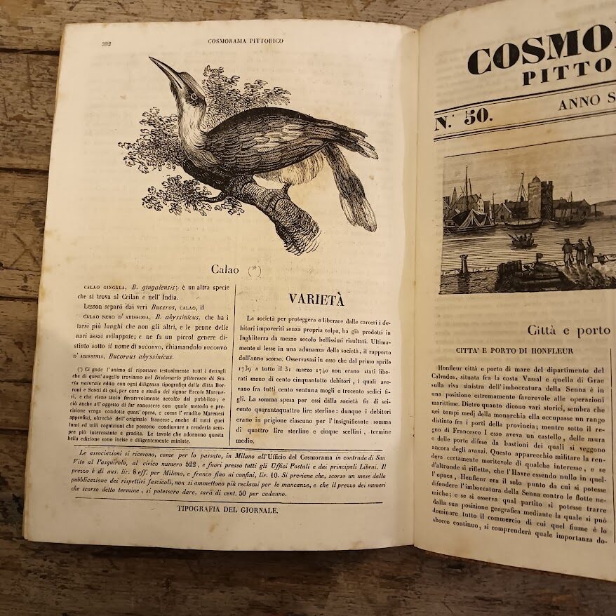 Cosmorama pittorico (anno sesto) - immagine 6