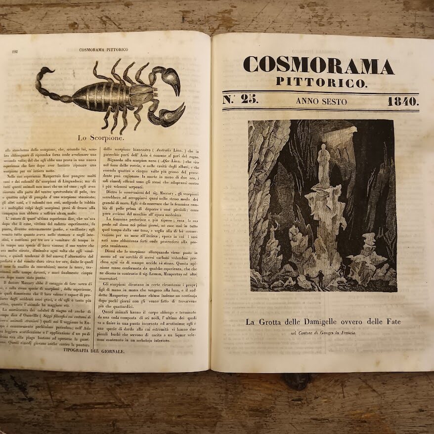 Cosmorama pittorico (anno sesto) - immagine 7