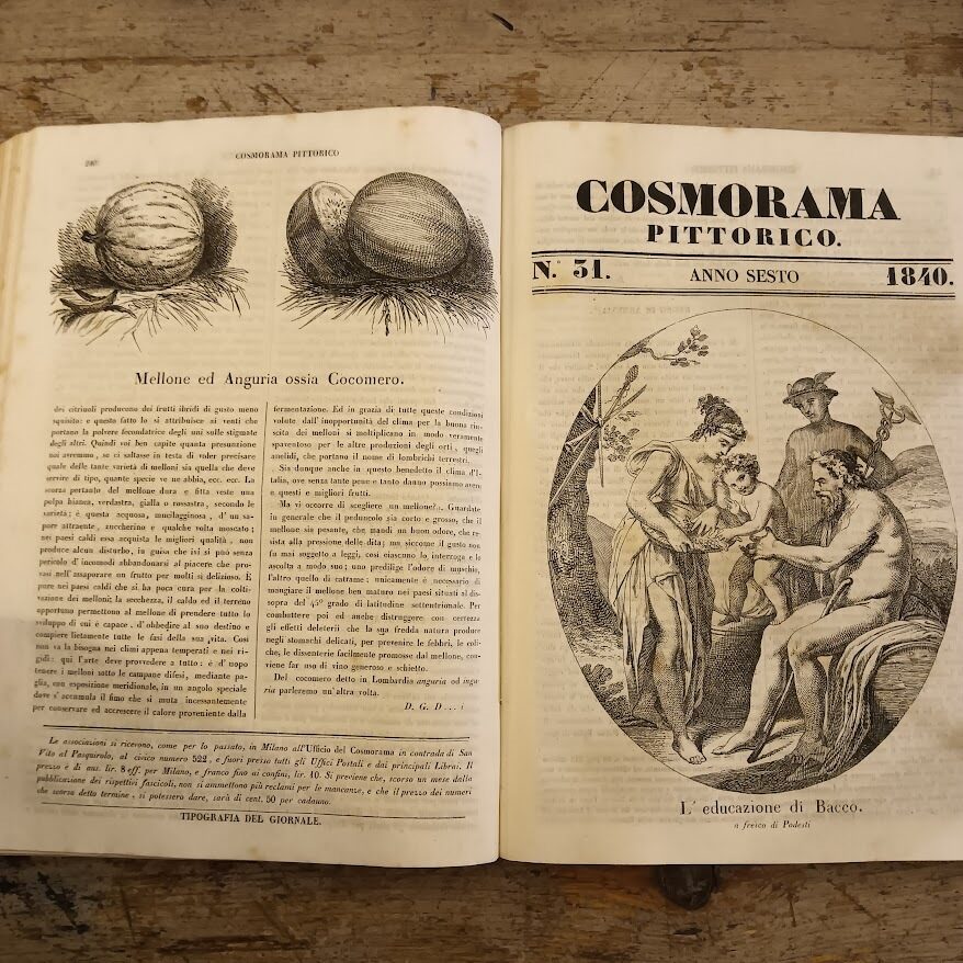 Cosmorama pittorico (anno sesto) - immagine 9