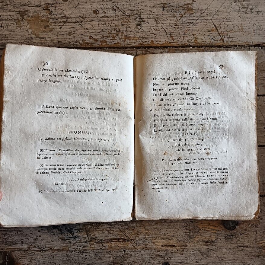 Il Cantico de' Cantici tradotto ed illustrato da Evasio Leone carmelitano - immagine 3