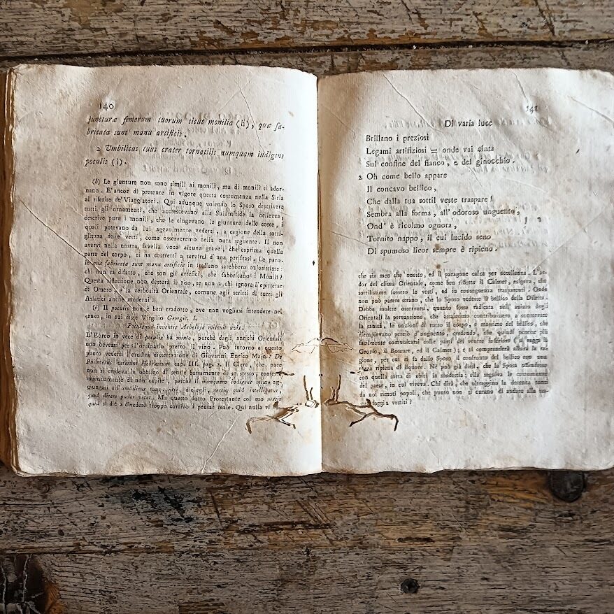Il Cantico de' Cantici tradotto ed illustrato da Evasio Leone carmelitano - immagine 4