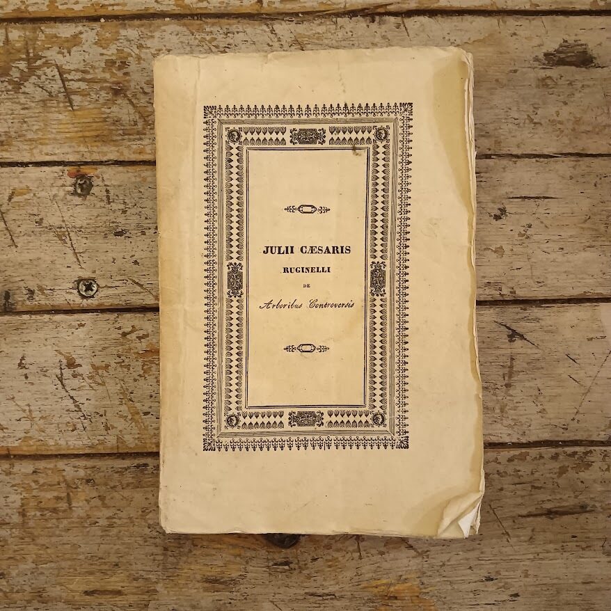De arboribus controversis resolutionum. Liber singularis ex quibus omnes fere de hac re disceptationes facile dirimi possunt, cum additione Indice, Summariis, aliisque opportunitates auctus - immagine 2