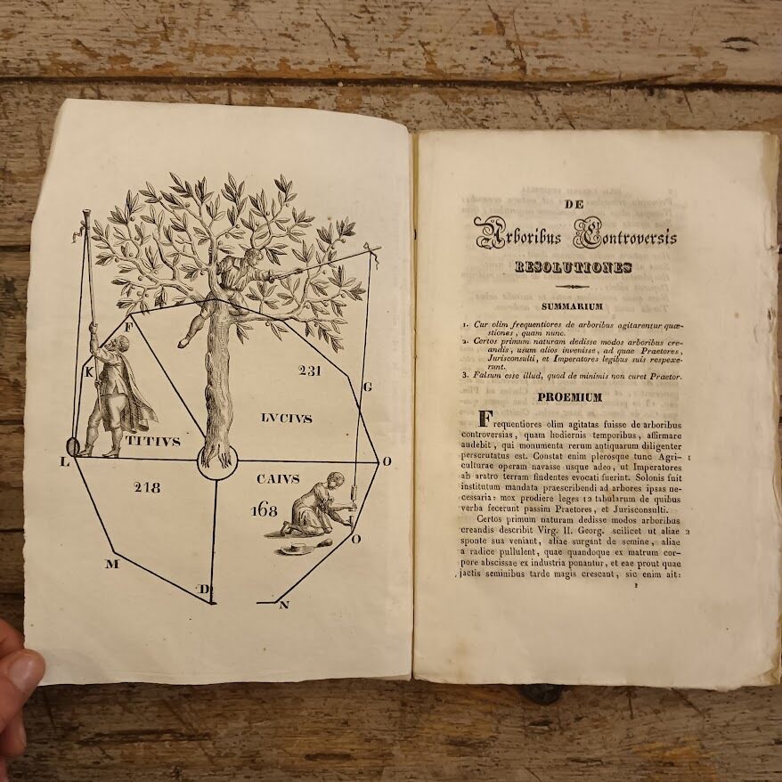 De arboribus controversis resolutionum. Liber singularis ex quibus omnes fere de hac re disceptationes facile dirimi possunt, cum additione Indice, Summariis, aliisque opportunitates auctus - immagine 3
