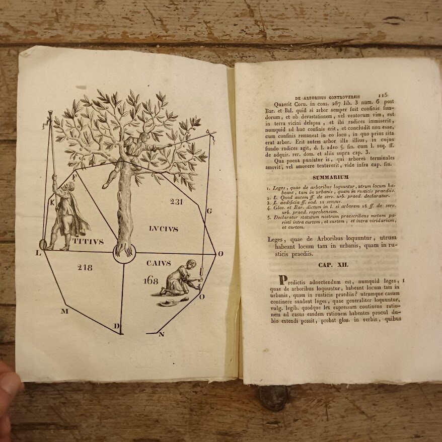 De arboribus controversis resolutionum. Liber singularis ex quibus omnes fere de hac re disceptationes facile dirimi possunt, cum additione Indice, Summariis, aliisque opportunitates auctus - immagine 5