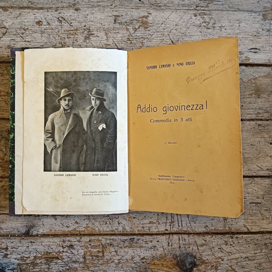 Addio giovinezza! - immagine 3