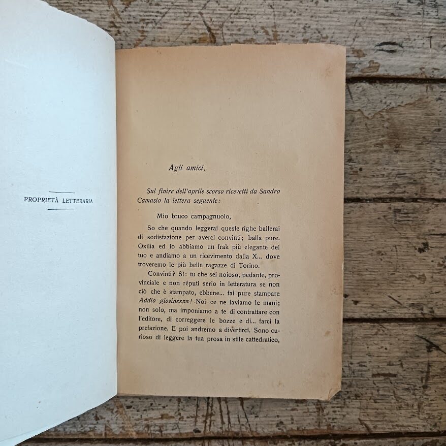 Addio giovinezza! - immagine 4