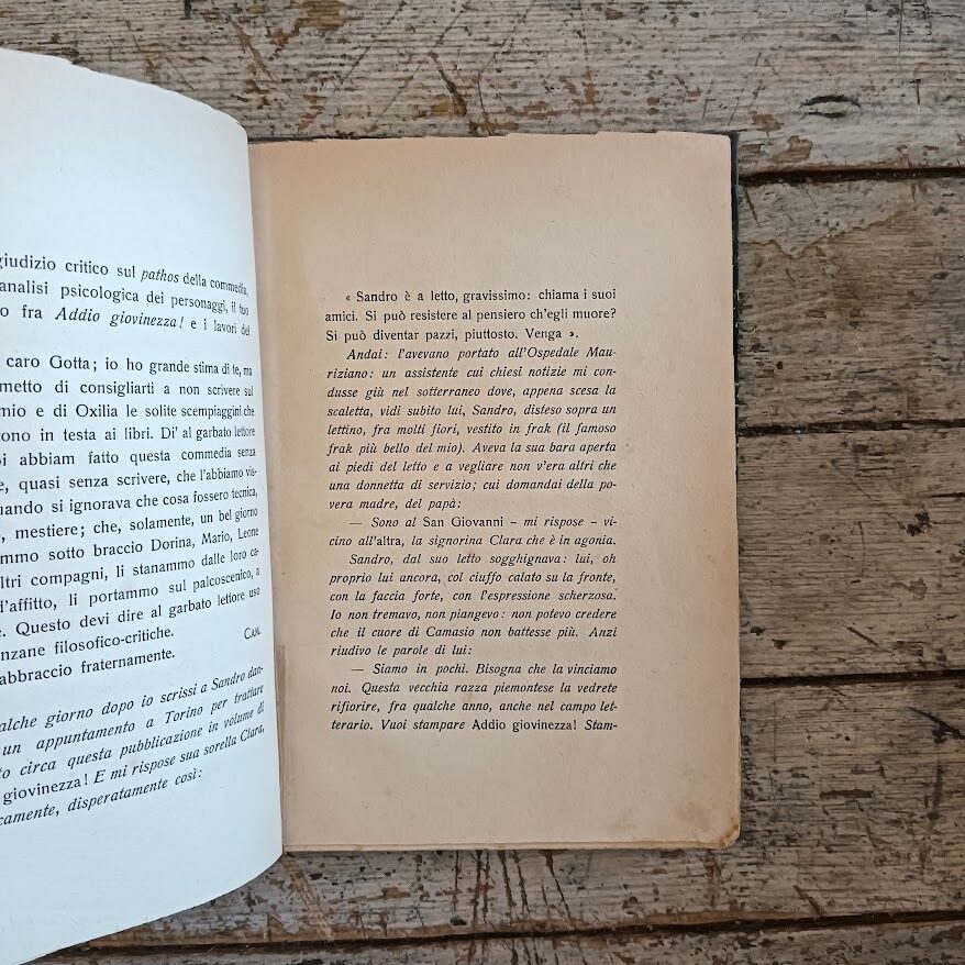 Addio giovinezza! - immagine 5