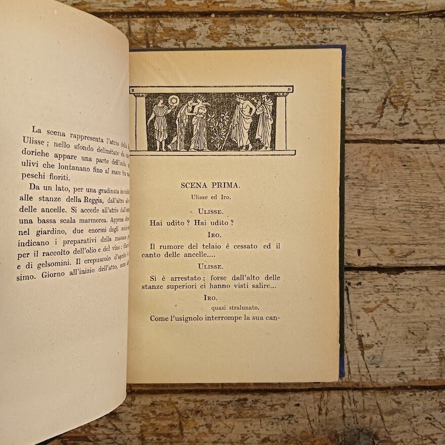 La tela di Penelope - immagine 4