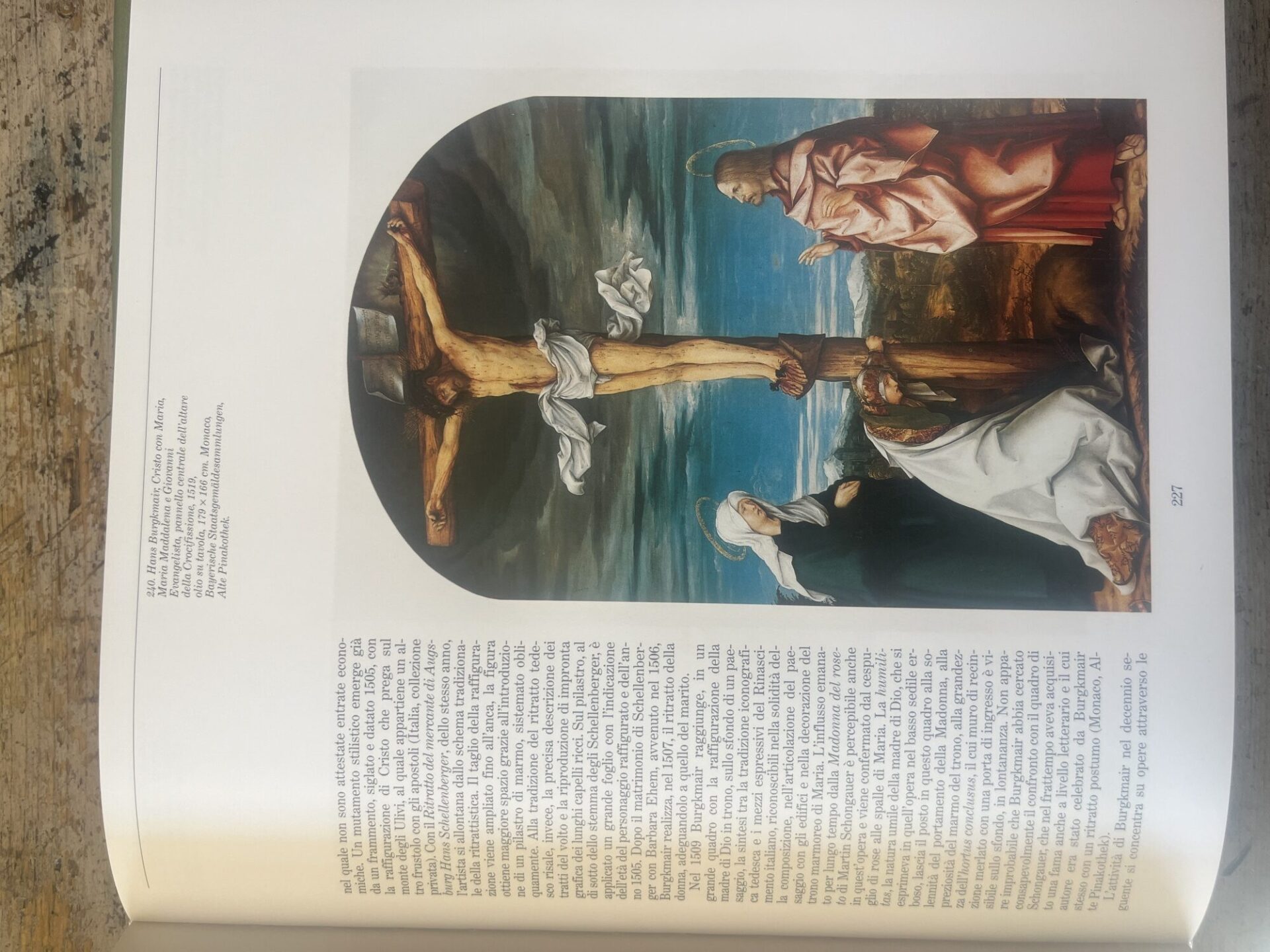 La Pittura in Europa. La Pittura Tedesca. Tomo primo - Tomo secondo - immagine 11