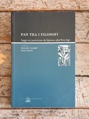 Pan tra i filosofi. Saggi sul panteismo da Spinoza alla New Age