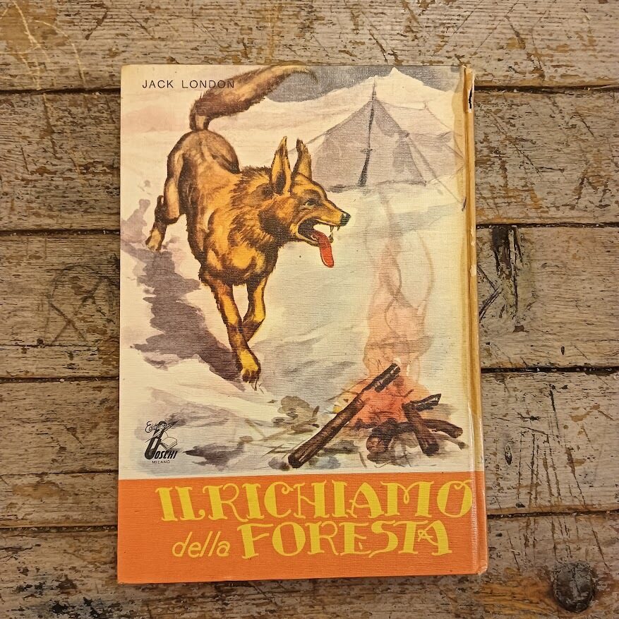 Il richiamo della foresta - immagine 2