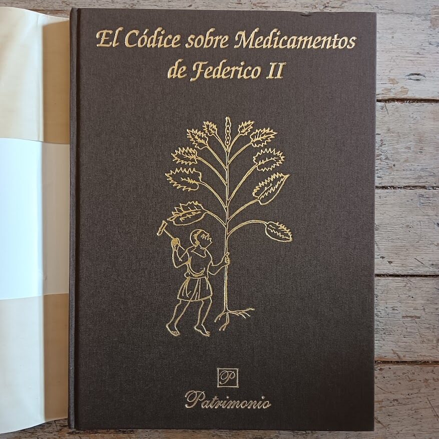 El Còdice sobre Medicamentos de Federico II - immagine 2
