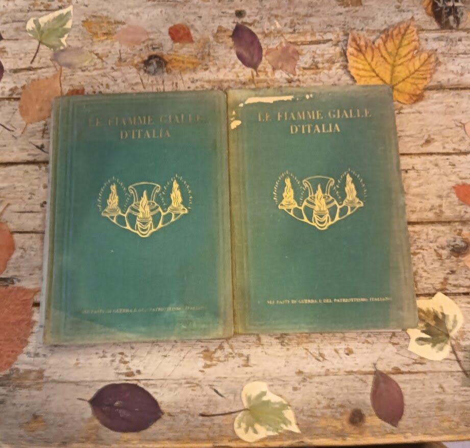 Le fiamme gialle d'Italia, 1800-1915, vol. I & II