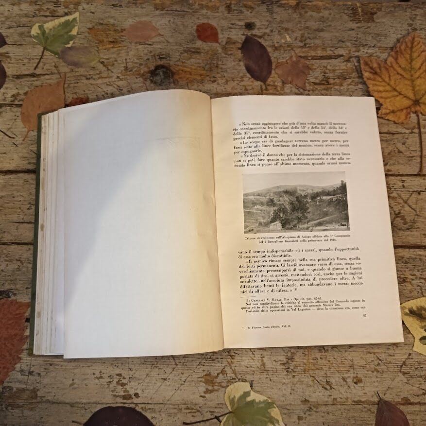 Le fiamme gialle d'Italia, 1800-1915, vol. I & II - immagine 3