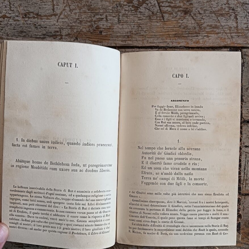 Il Salterio Davidico , versione - immagine 8