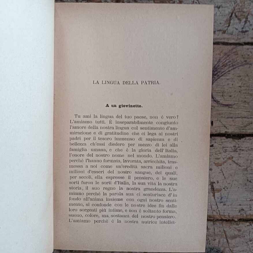 L'idioma gentile - immagine 4